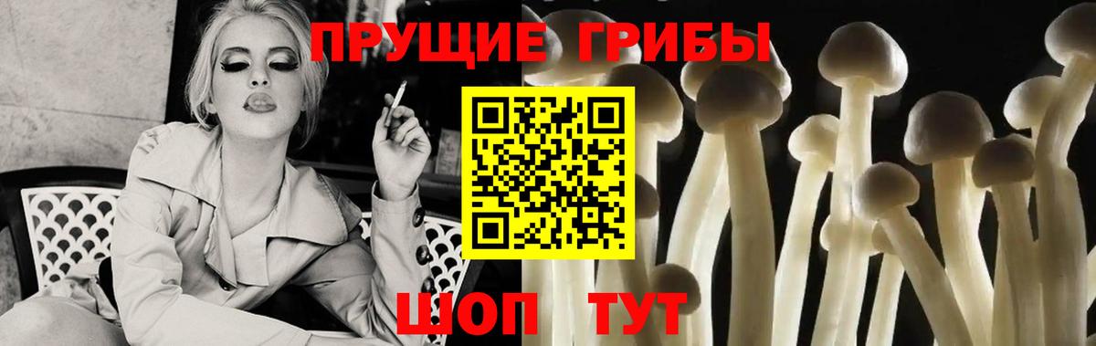Глазов  Псилоцибиновые грибы прущие грибы  Вход с VPN 